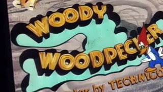 Woody Woodpecker Woody Woodpecker E154 – Monster of Ceremonies