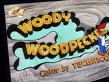 Woody Woodpecker Woody Woodpecker E164 – Peck of Trouble