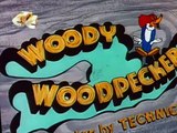 Woody Woodpecker Woody Woodpecker E160 – Secret Agent Woody Woodpecker