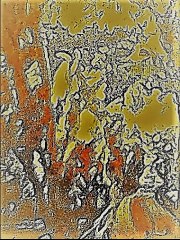 Ferdinando Carulli : Rondo