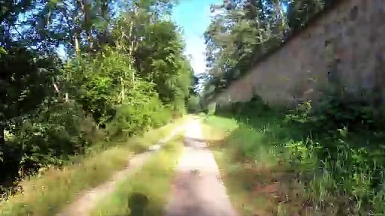 Ab Gütenbachtor: MTB Lainzer Tiergarten-Strecke (10)