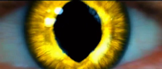 KRAVEN THE HUNTER – Official Red Band Trailer (Hindi) | October 6th | English, Hindi, Tamil & Telugu