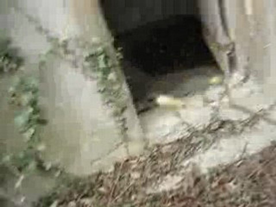 MOV00540