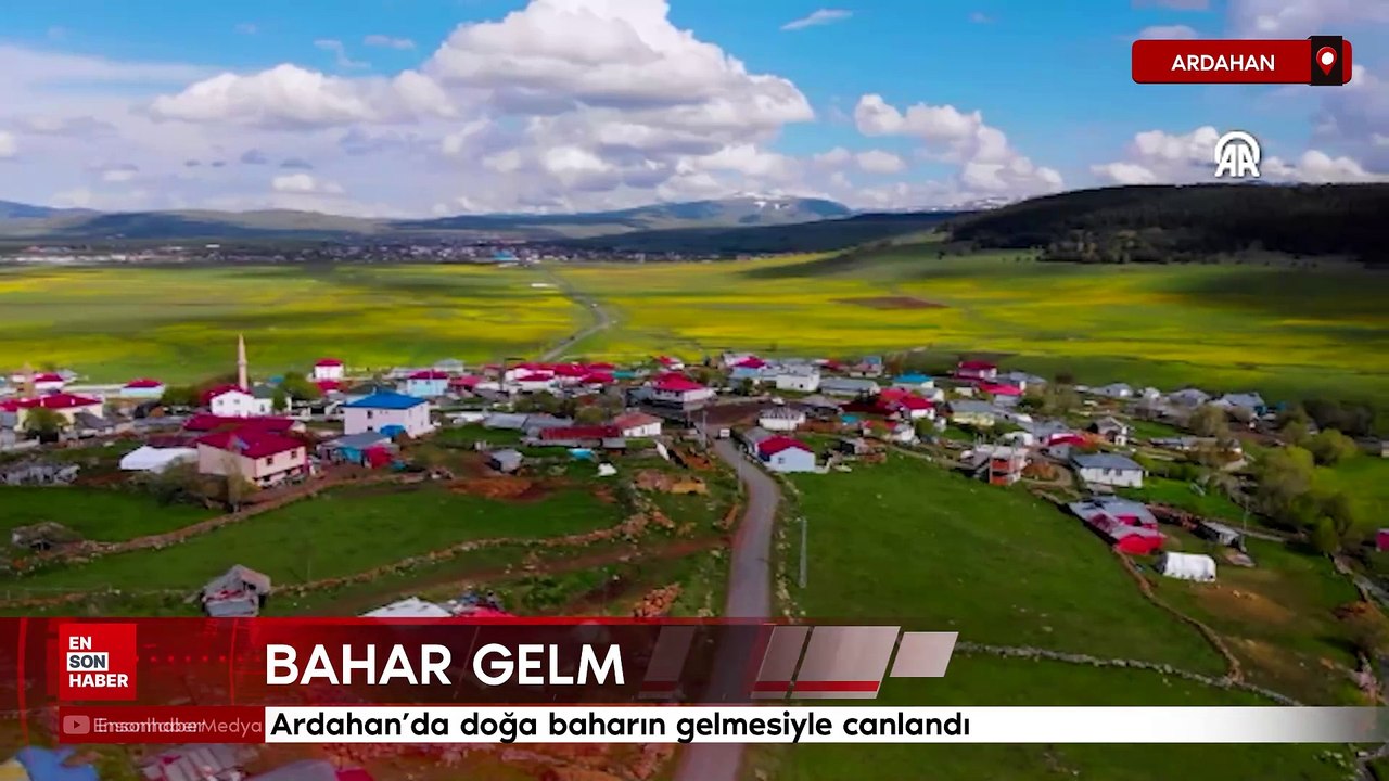 Ardahan’da doğa baharın gelmesiyle canlandı
