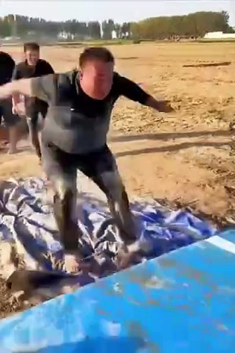 10000000_921087886461386_7946225042232705052_n