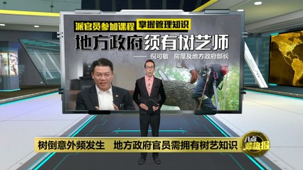 树倒意外频频发生   倪可敏：地方政府官员需拥有树艺知识