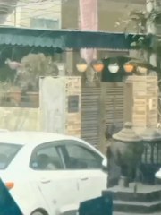 Kamal yadav ke pyar mein hai kya hai