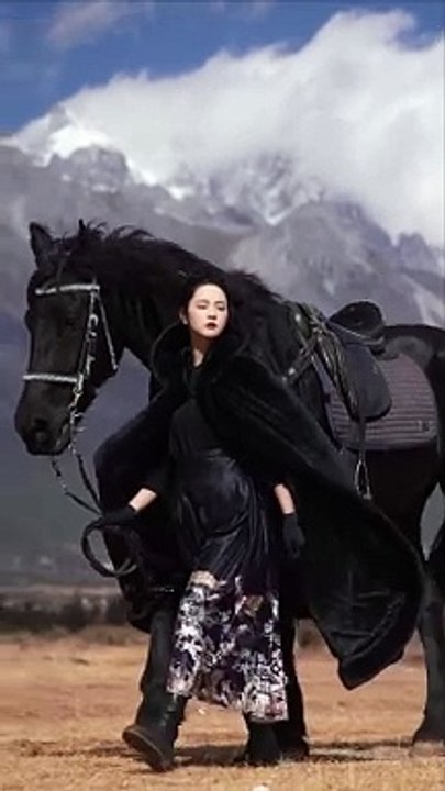 Horse short video 2024