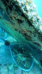 "Drowned Discoveries: Unearthing Ocean Objects"