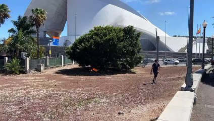 Conato de incendio junto al Auditorio de Santa Cruz de Tenerife. DA