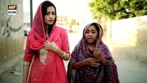 EP.02 - Pyare Afzal _ Hamza Ali Abbasi _ Ayeza Khan _ Sana Javed _ ARY Digital