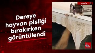 Mardin'de dereye hayvan pisliği bırakırken görüntülendi