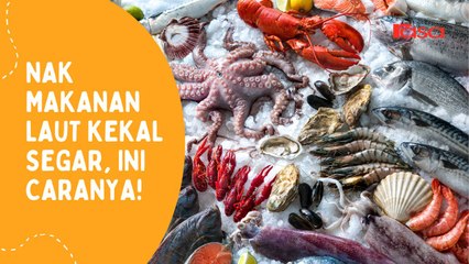 Lepas 2 Minggu Makanan Laut Masih Segar, Ini Caranya!