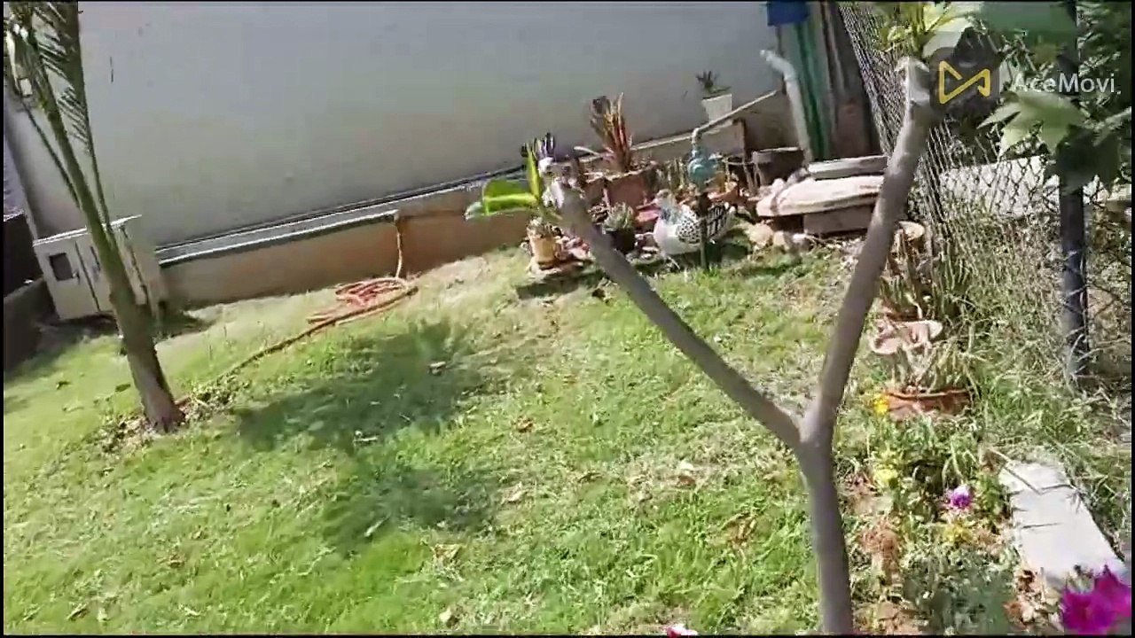 Mustafa#Kid# Adventures# MKP Studios#"vlogger#MustafaKid Adventures #Mustafa's curiosity #comedy#clip#movie#