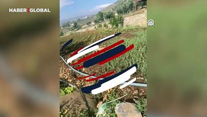 Descargar video: Doğada eşine az rastlanıyor, Kahramanmaraş'ta cep telefonu kamerasına yansıdı