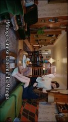 Nemilosrdan - Epizoda 31 (S01E31) / TURSKA SERIJA SA PREVODOM