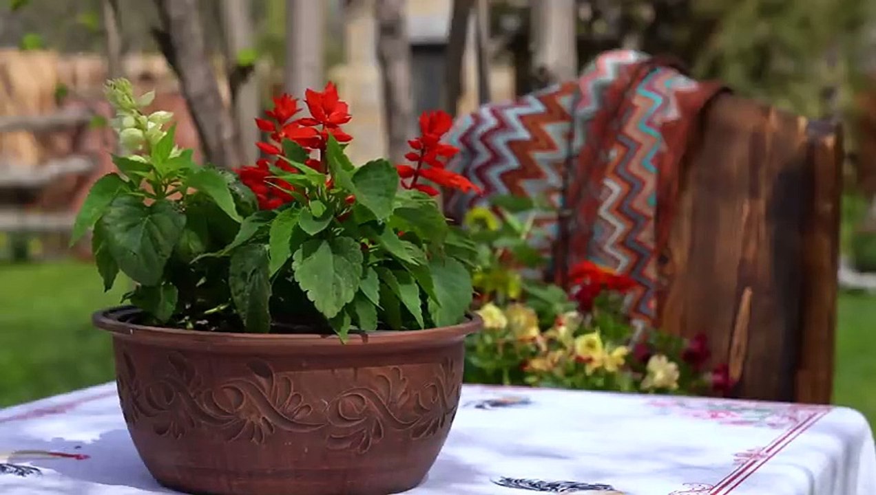 The King Dish of Azerbaijani Cuisine - SHAKH PILAF - With Beef and Pumpkin_HIGH
