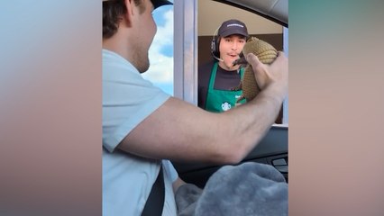 Download Video: Man surprises drive-thru workers with armadillo, shocking reactions go viral with over 20 million views