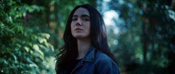 Bloodline Killer (2024) English Film | Dailymotion