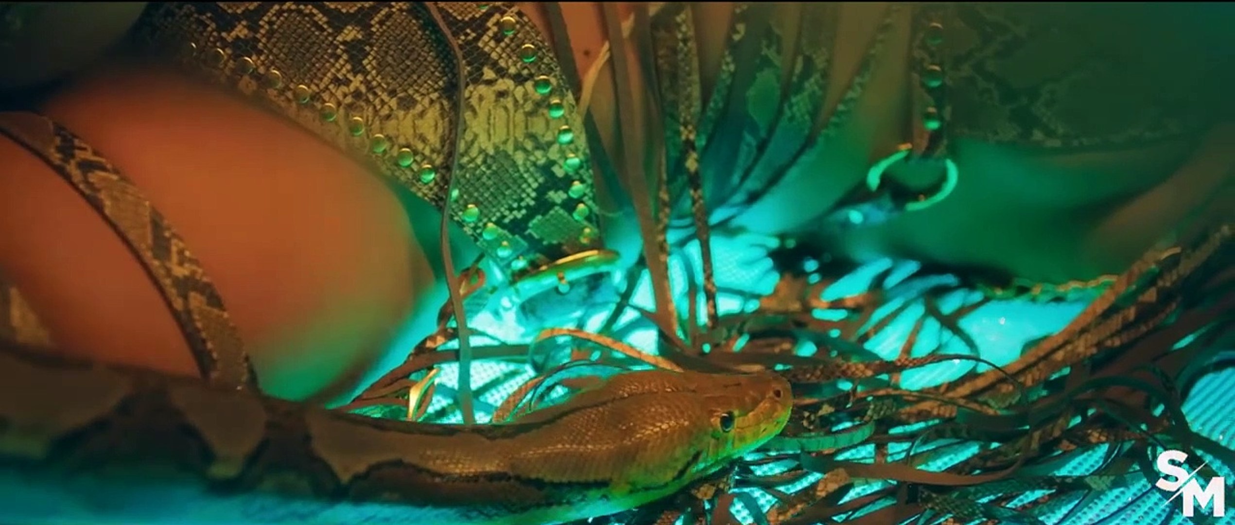 Doja Cat & Tyga - Nasty ft. Megan Thee Stallion (Music Video) 2024