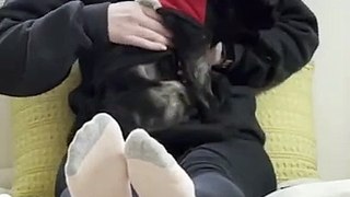 Cat Comes Back to Woman's Lap Over and Over Again