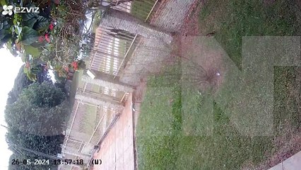 Atropelamento no Floresta: Áudio do impacto é capturado por câmera de segurança