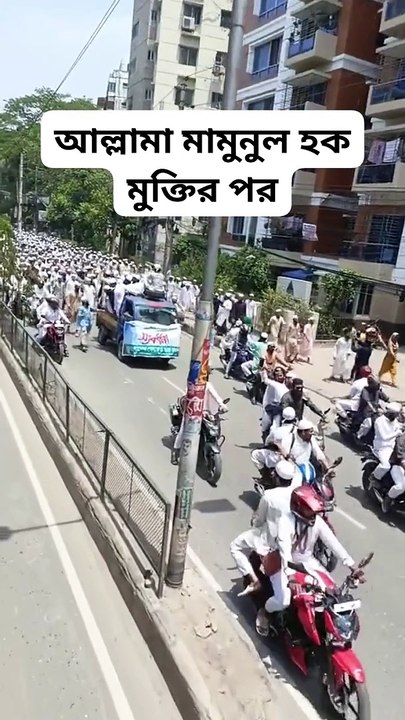 আল্লামা মামুনুল হক মুক্তির পর