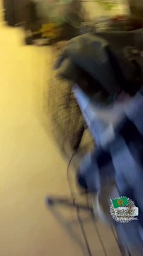 Πρωταθλητής Ευρώπης ο Παναθηναϊκός! Έτσι πανηγύρισαν οι διάσημοι φίλαθλοι τον θρίαμβο