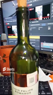 Vino Tinto Luis Felipe Edwards De Chile Merlot 2022 #shorts exelente bebida me gusto mucho epico