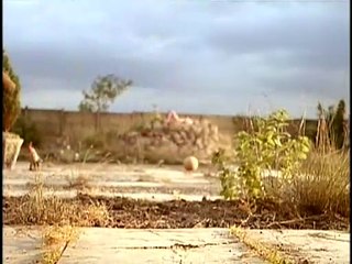 The Cement Garden 1993 ‧ Drama/Comedy