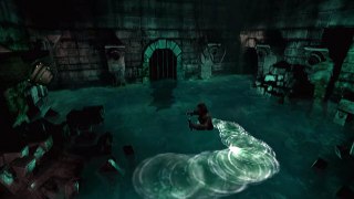 Alone in the Dark: The New Nightmare online multiplayer - ps2