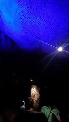 Animal parque sao paulo