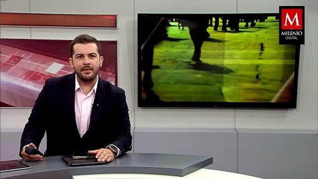 12 Personas resultan heridas durante un vuelo de Doha a Irlanda