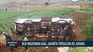 Bus Angkut 19 Wisatawan Asal Jakarta Terguling ke Jurang, 7 Orang Alami Luka Berat