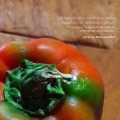 -ANDRÉS DE JESÚS VÉLEZ FRANCO- AMÉRICA MÉXICO FÚTBOL (PARTE 1) (@AndresdeJesus90)