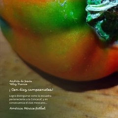 -ANDRÉS DE JESÚS VÉLEZ FRANCO- AMÉRICA MÉXICO FÚTBOL: CAMPEONATOS (PARTE 2) (@AndresdeJesus90)