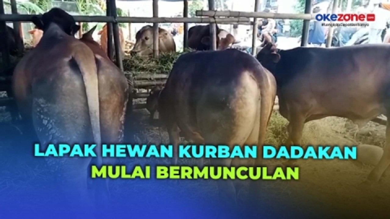 Jelang Hari Raya Iduladha, Lapak Hewan Kurban Dadakan di Pemalang Mulai Bermunculan