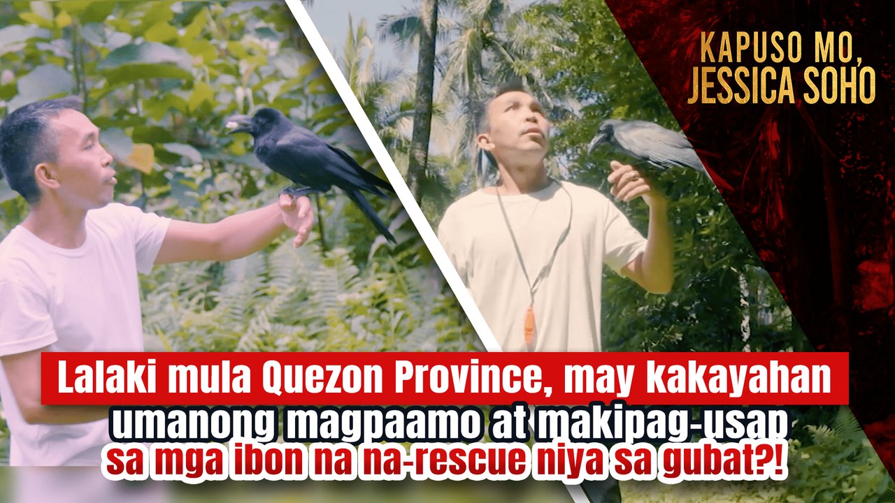 Pinoy bird whisperer, may kakayahang magpaamo a...
