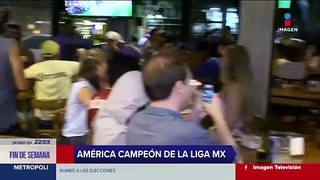 ¡América es campeón de la Liga MX! Así celebran aficionados