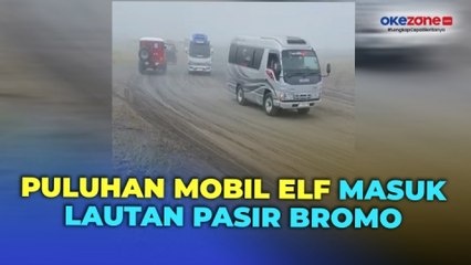 Viral Puluhan Mobil Elf Masuk Lautan Bromo Berujung Minta Maaf