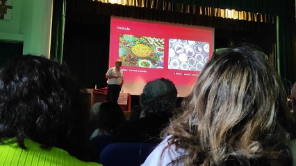 1077-conferenza kalcher parte 2-3