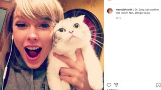 Animal experts warn against buying Scottish Fold cats like Taylor Swift's