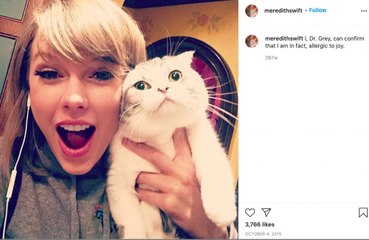 Animal experts warn against buying Scottish Fold cats like Taylor Swift's