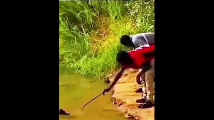 Funny vedios clip  Funny video