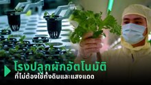 โรงปลูกผักอัตโนมัติ ที่ไม่ต้องใช้ทั้งดินและแสงแดด