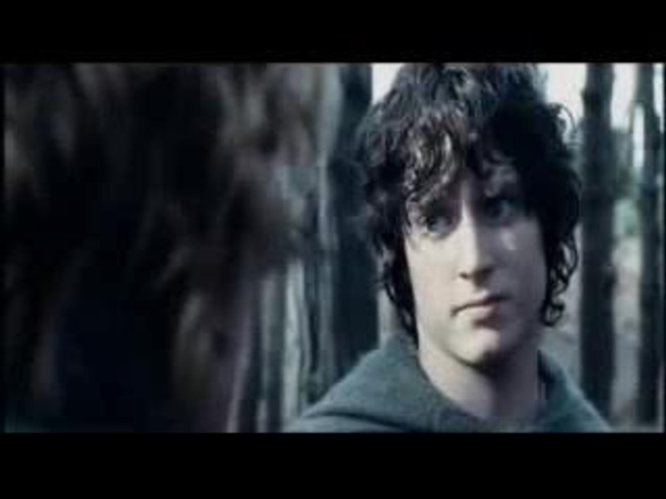 Le Seigneur Des Anneaux