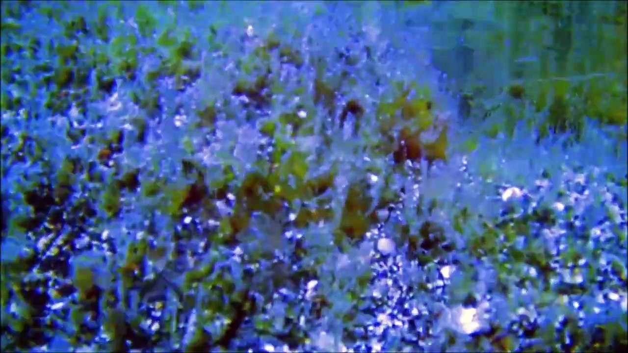 Blue turquoise trippy
