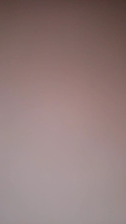 بسبوس قط كيوت جميل و لطيف