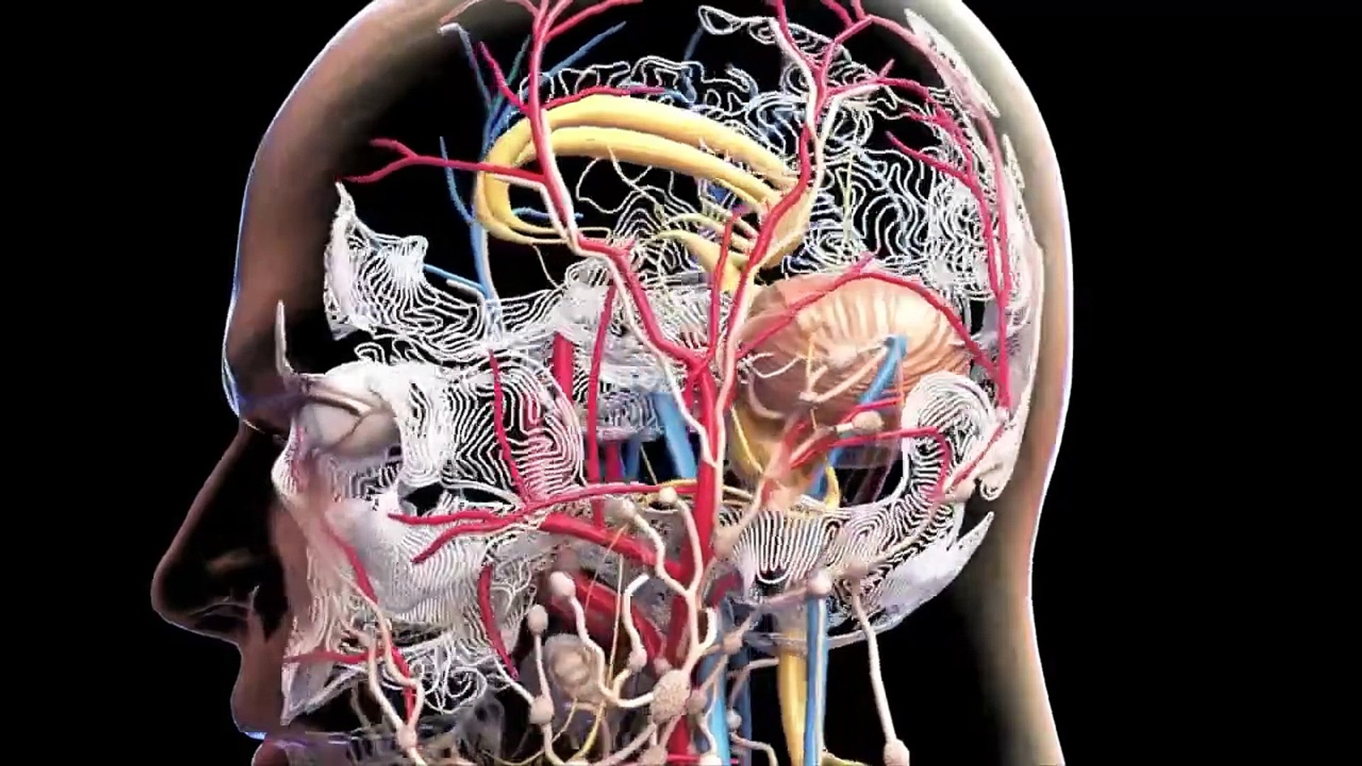 ⁣AI Stock Footage _ Artificial Intelligence _ No Copyright Video _ Romance Post BD