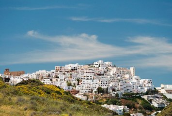 RFL público Marca USA 2